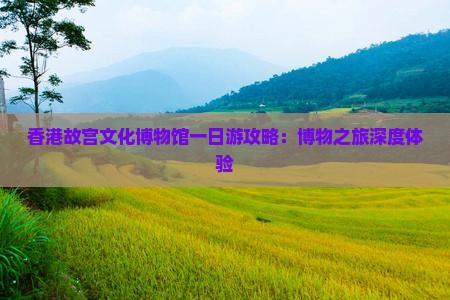 香港故宫文化博物馆一日游攻略：博物之旅深度体验