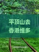 平顶山去香港维多利亚港七日游费用、路线及两地距离，香港平顶山位置与平顶山香港城最新消息