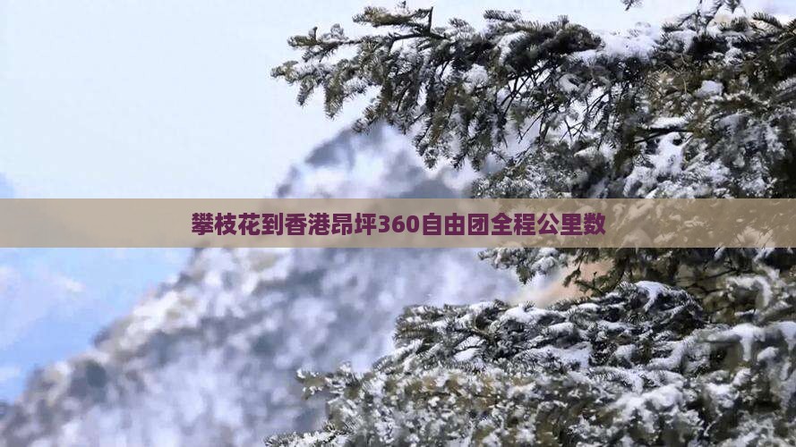 攀枝花到香港昂坪360自由团全程公里数