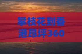 攀枝花到香港昂坪360自由团全程公里数