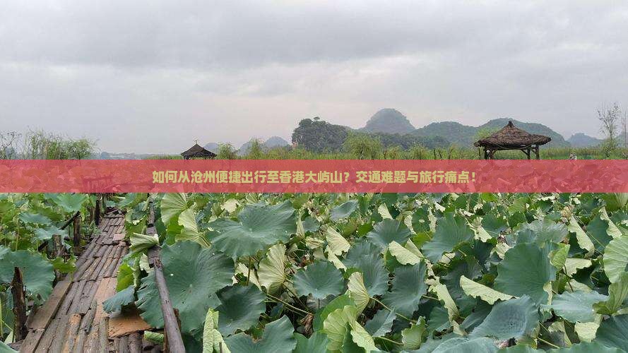 如何从沧州便捷出行至香港大屿山？交通难题与旅行痛点！