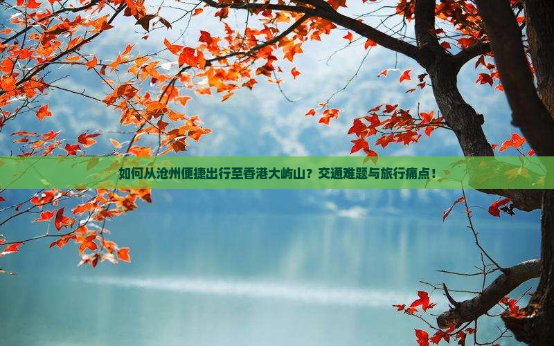 如何从沧州便捷出行至香港大屿山？交通难题与旅行痛点！