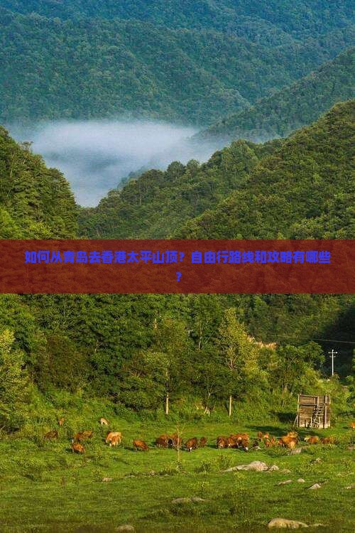 如何从青岛去香港太平山顶？自由行路线和攻略有哪些？