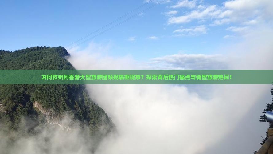 为何钦州到香港大型旅游团频现爆棚现象？探索背后热门痛点与新型旅游热词！