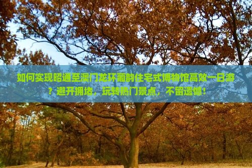 如何实现昭通至澳门龙环葡韵住宅式博物馆高效一日游？避开拥堵，玩转热门景点，不留遗憾！