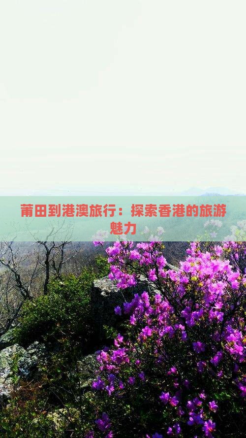 莆田到港澳旅行：探索香港的旅游魅力