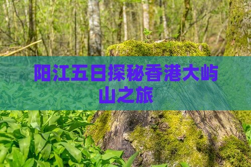 阳江五日探秘香港大屿山之旅