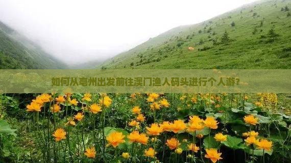 如何从亳州出发前往澳门渔人码头进行个人游？