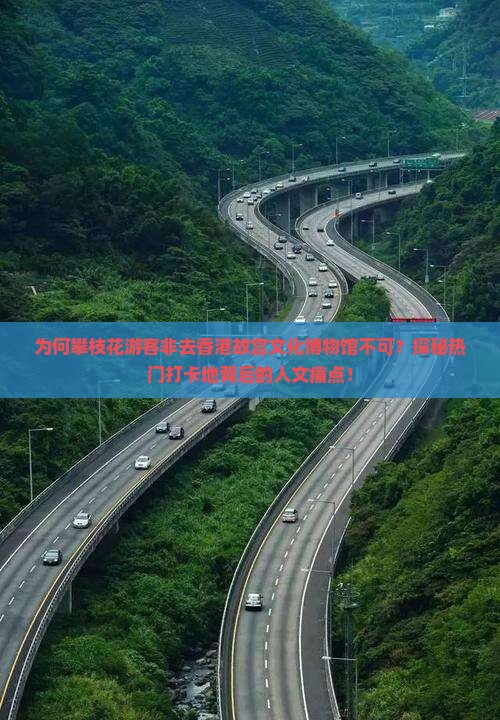 为何攀枝花游客非去香港故宫文化博物馆不可？探秘热门打卡地背后的人文痛点！