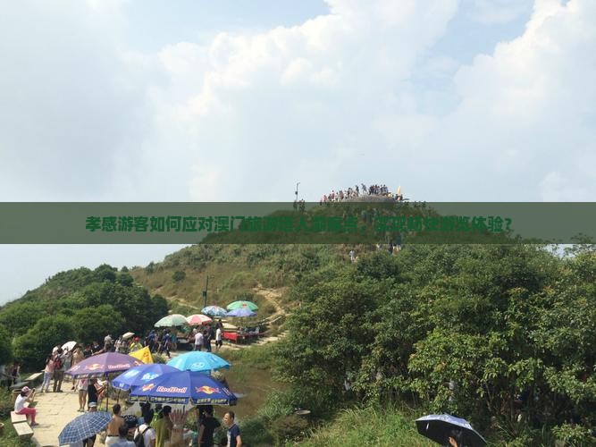 孝感游客如何应对澳门旅游塔人潮痛点，实现畅快游览体验？