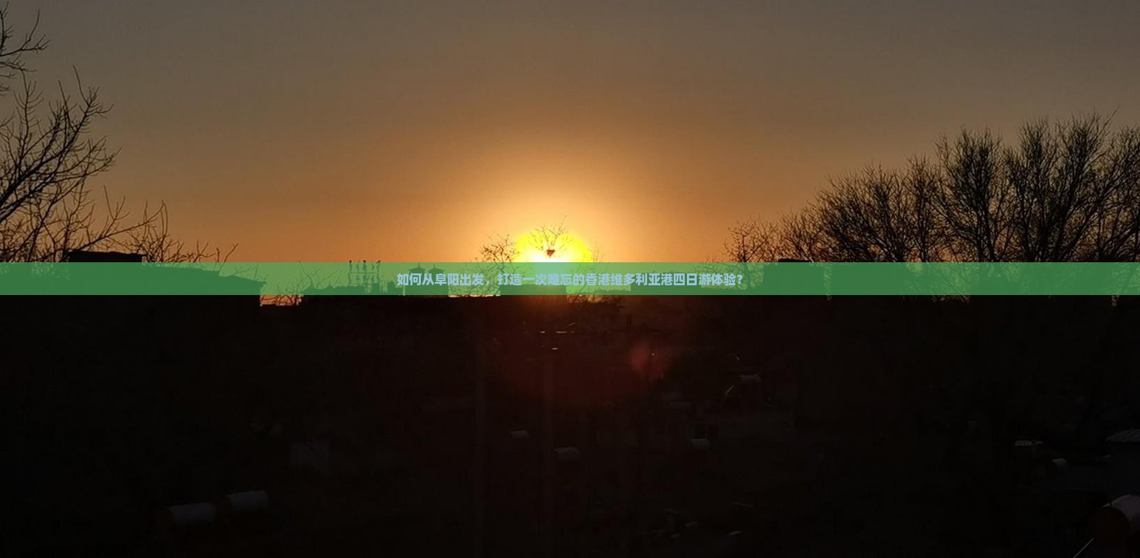如何从阜阳出发，打造一次难忘的香港维多利亚港四日游体验？