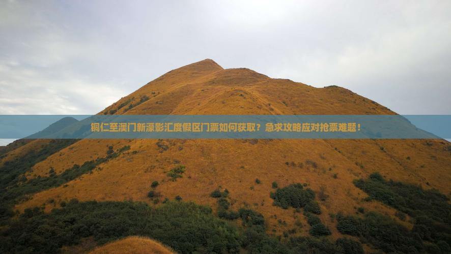铜仁至澳门新濠影汇度假区门票如何获取？急求攻略应对抢票难题！