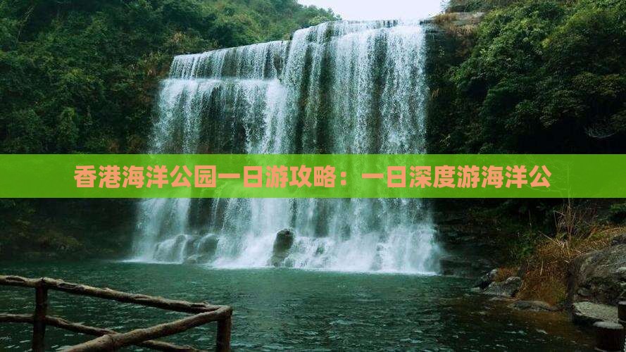香港海洋公园一日游攻略：一日深度游海洋公