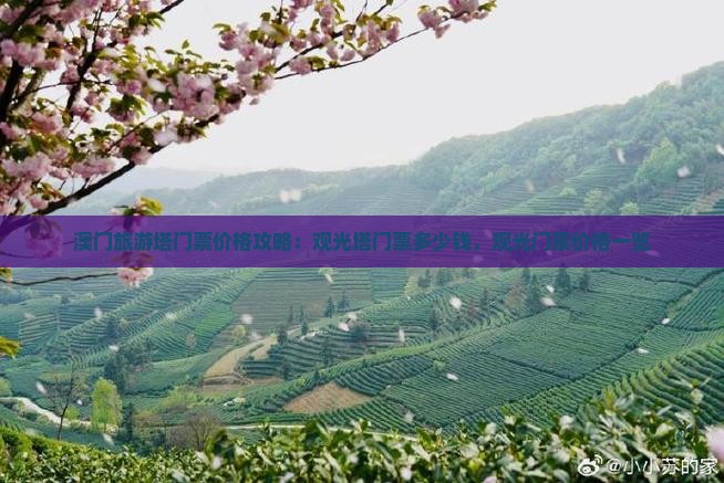 澳门旅游塔门票价格攻略：观光塔门票多少钱，观光门票价格一览