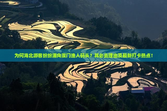 为何海北游客纷纷涌向澳门渔人码头？其必去理由及最新打卡热点！