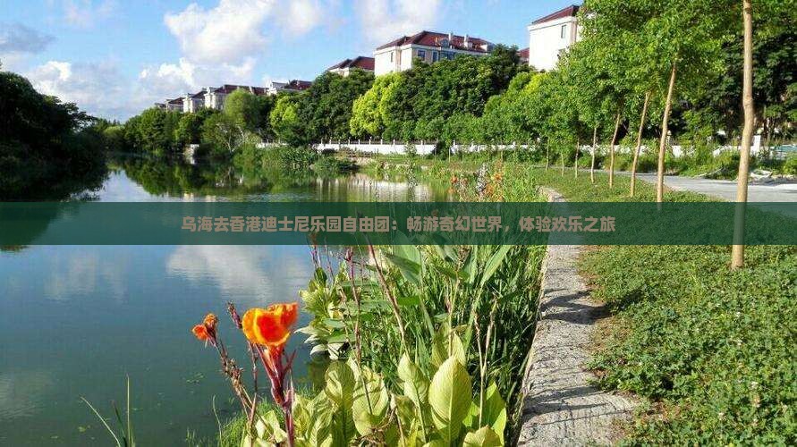 乌海去香港迪士尼乐园自由团：畅游奇幻世界，体验欢乐之旅