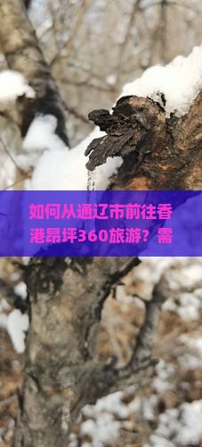 如何从通辽市前往香港昂坪360旅游？需要多少钱？怎么安排行程？