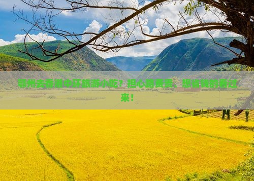 鄂州去香港中环旅游小吃？担心路费贵、想省钱的看过来！