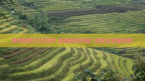 朔州到澳门七日游？旅途疲惫不堪？试试元宇宙旅游！