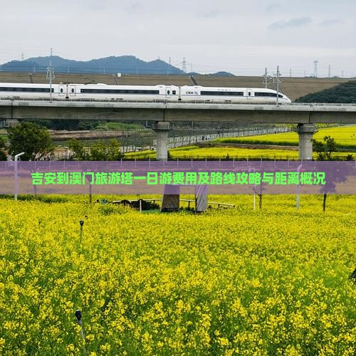 吉安到澳门旅游塔一日游费用及路线攻略与距离概况