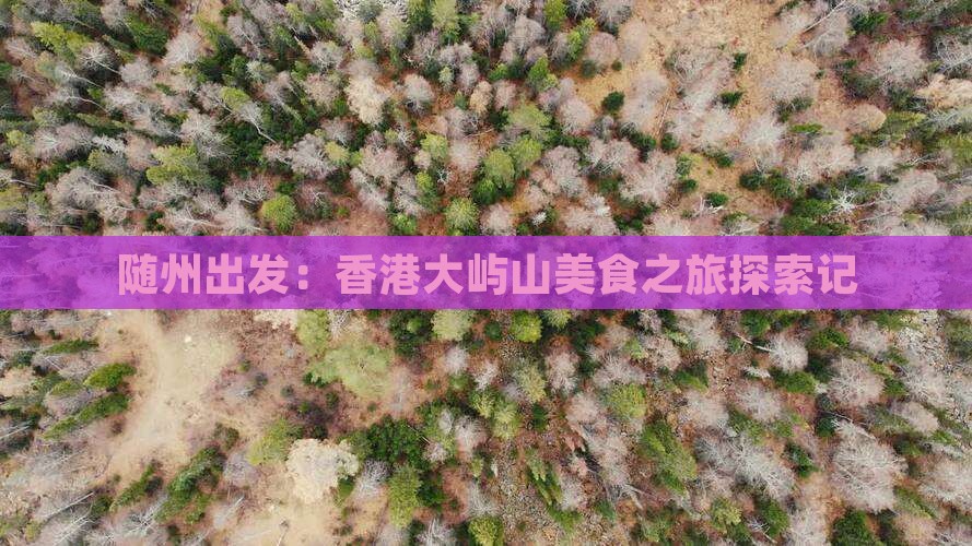 随州出发：香港大屿山美食之旅探索记