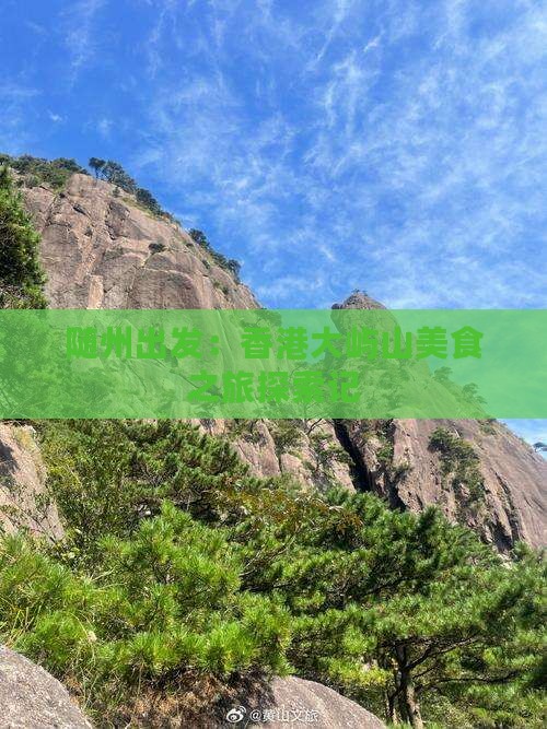 随州出发：香港大屿山美食之旅探索记