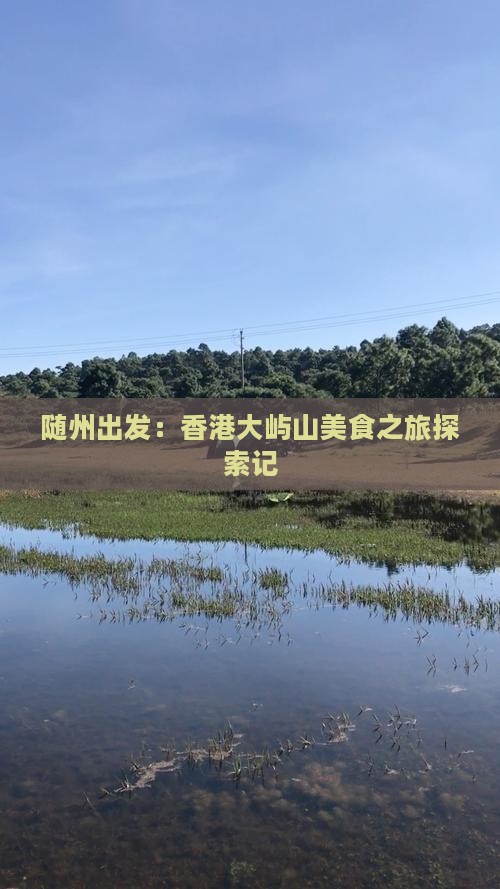 随州出发：香港大屿山美食之旅探索记