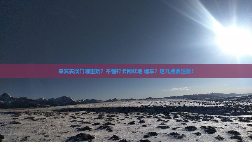 来宾去澳门哪里玩？不懂打卡网红地+堵车？这几点要注意！