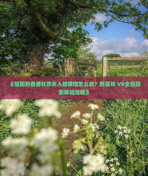 《信阳到香港杜莎夫人蜡像馆怎么去？附高铁+VR全息投影体验攻略》