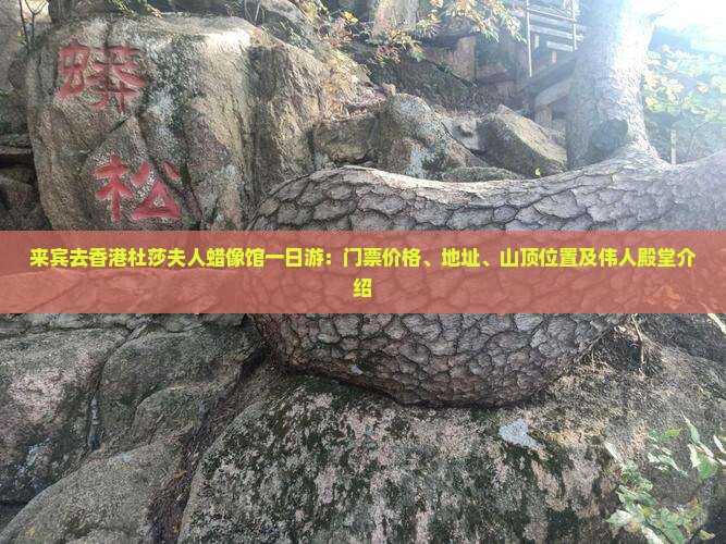 来宾去香港杜莎夫人蜡像馆一日游：门票价格、地址、山顶位置及伟人殿堂介绍