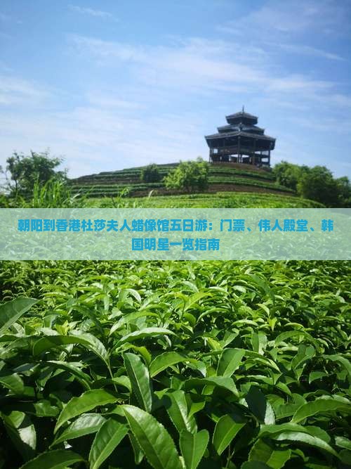 朝阳到香港杜莎夫人蜡像馆五日游：门票、伟人殿堂、韩国明星一览指南