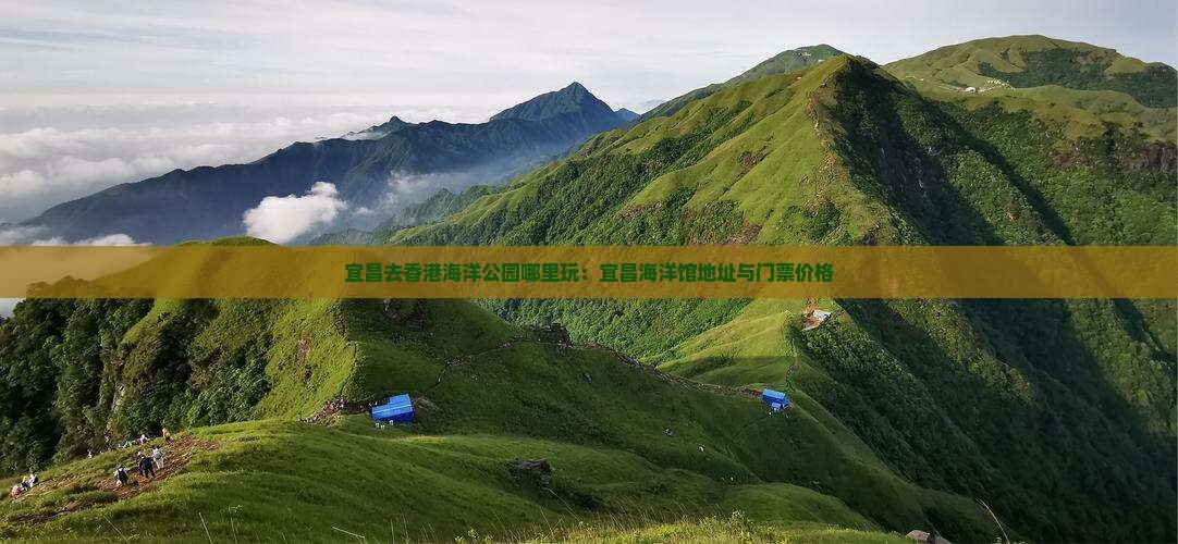宜昌去香港海洋公园哪里玩：宜昌海洋馆地址与门票价格