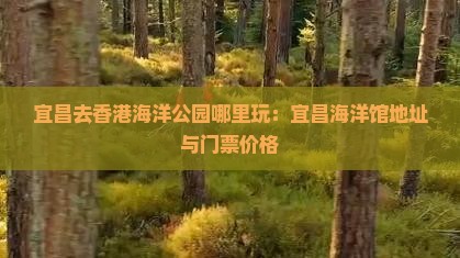 宜昌去香港海洋公园哪里玩：宜昌海洋馆地址与门票价格