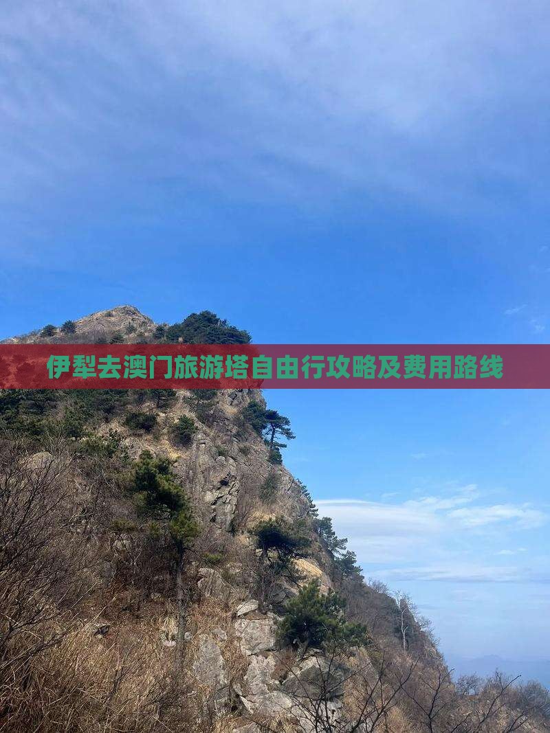 伊犁去澳门旅游塔自由行攻略及费用路线