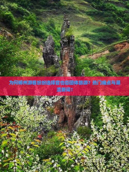 为何郴州游客纷纷选择官也街团体旅游？热门痛点与潮流新词！