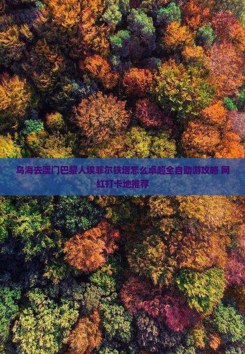 乌海去澳门巴黎人埃菲尔铁塔怎么卓超全自助游攻略+网红打卡地推荐