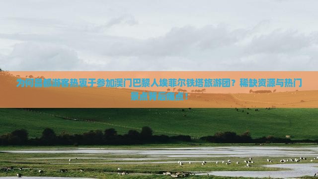 为何昌都游客热衷于参加澳门巴黎人埃菲尔铁塔旅游团？稀缺资源与热门景点背后痛点！