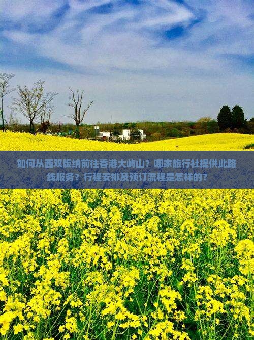 如何从西双版纳前往香港大屿山？哪家旅行社提供此路线服务？行程安排及预订流程是怎样的？