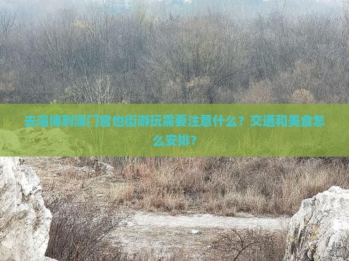 去淄博到澳门官也街游玩需要注意什么？交通和美食怎么安排？