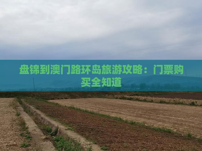 盘锦到澳门路环岛旅游攻略：门票购买全知道