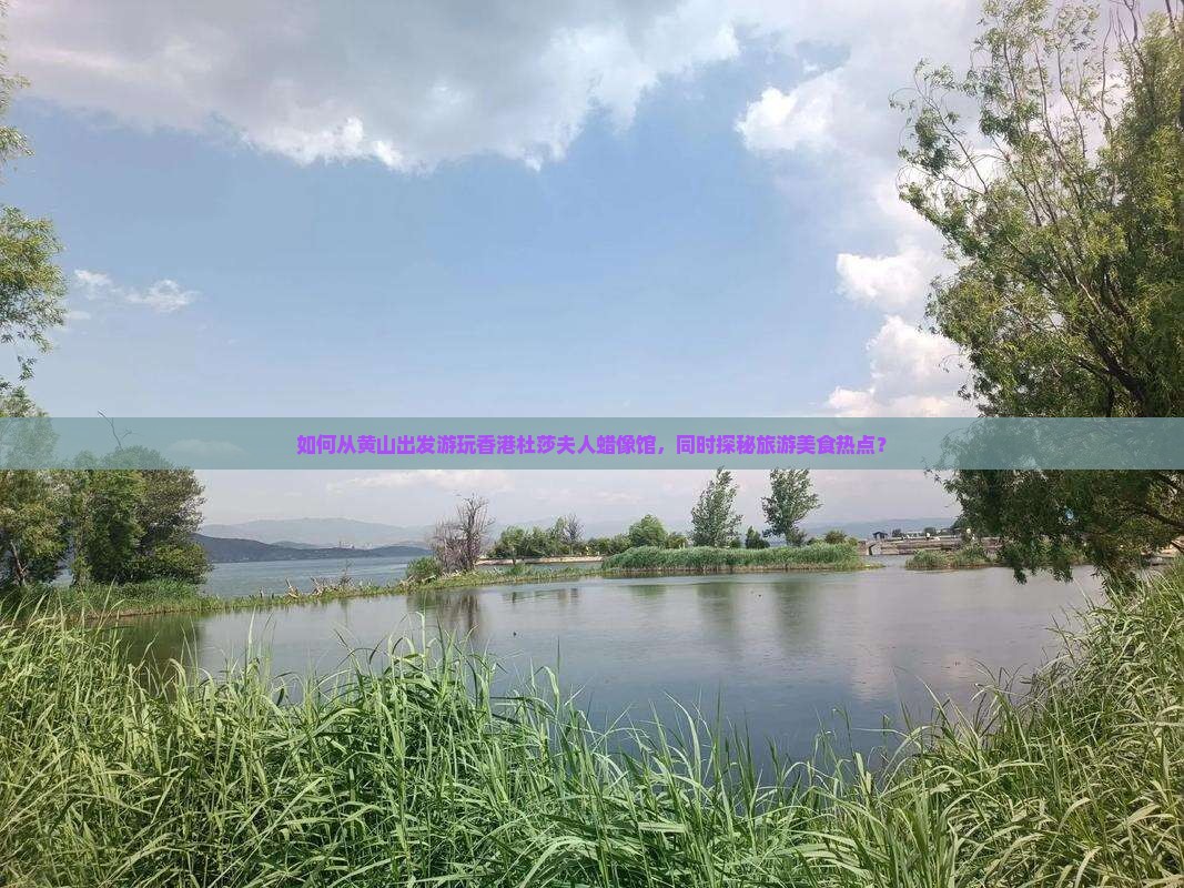如何从黄山出发游玩香港杜莎夫人蜡像馆，同时探秘旅游美食热点？