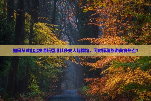 如何从黄山出发游玩香港杜莎夫人蜡像馆，同时探秘旅游美食热点？