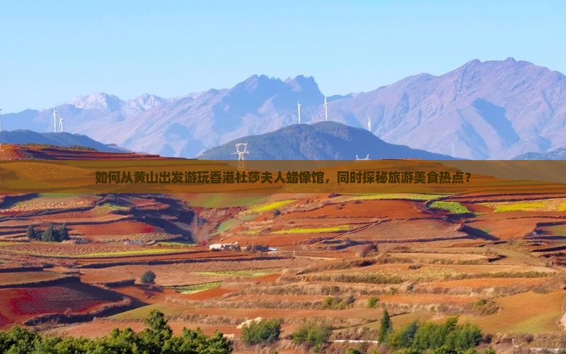 如何从黄山出发游玩香港杜莎夫人蜡像馆，同时探秘旅游美食热点？