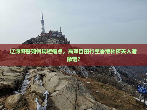 辽源游客如何规避痛点，高效自由行至香港杜莎夫人蜡像馆？