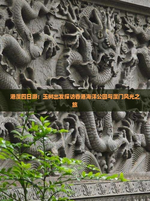 港澳四日游：玉树出发探访香港海洋公园与澳门风光之旅