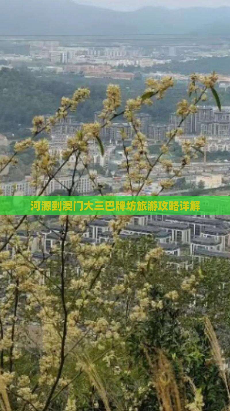 河源到澳门大三巴牌坊旅游攻略详解
