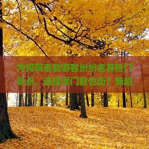 为何阿泰勒游客纷纷舍弃热门景点，选择澳门官也街？新趋势下隐藏哪些痛点和机遇？