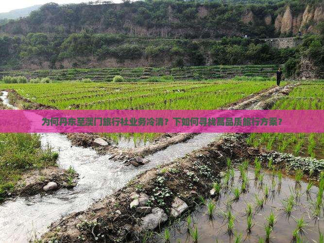 为何丹东至澳门旅行社业务冷清？下如何寻找高品质旅行方案？