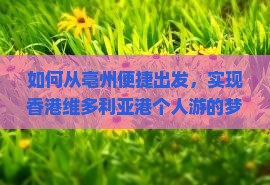 如何从亳州便捷出发，实现香港维多利亚港个人游的梦想？下有哪些新政策或挑战？