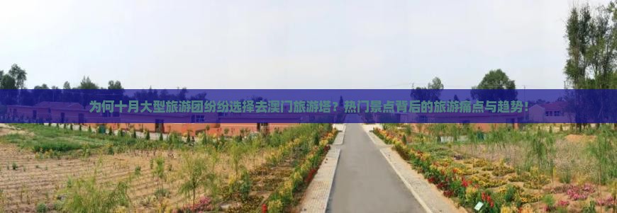 为何十月大型旅游团纷纷选择去澳门旅游塔？热门景点背后的旅游痛点与趋势！